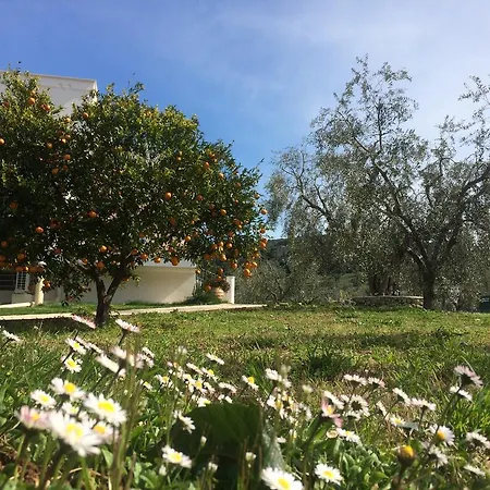 Piana Dei Greci 度假居