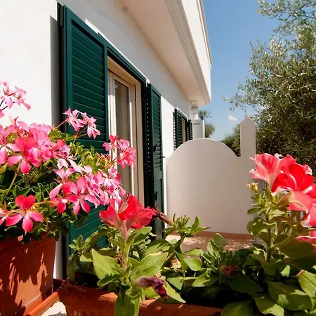 Piana Dei Greci * Peschici