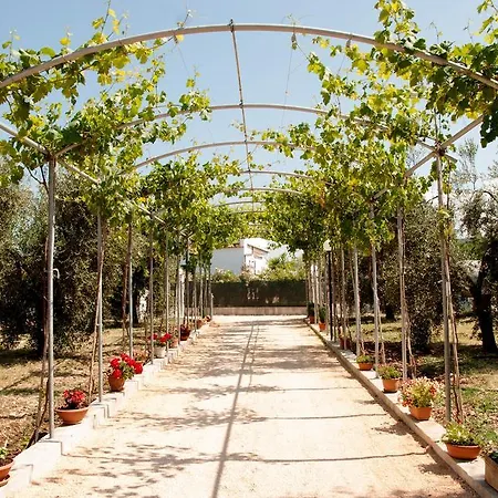 Piana Dei Greci * بيسْكيتْشّي