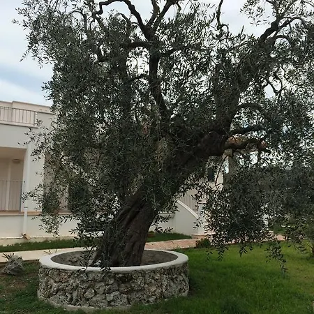 Piana Dei Greci بيت للعطل *